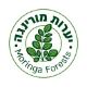 יערות מורינגה