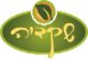 א.ג שקדיה בע״מ